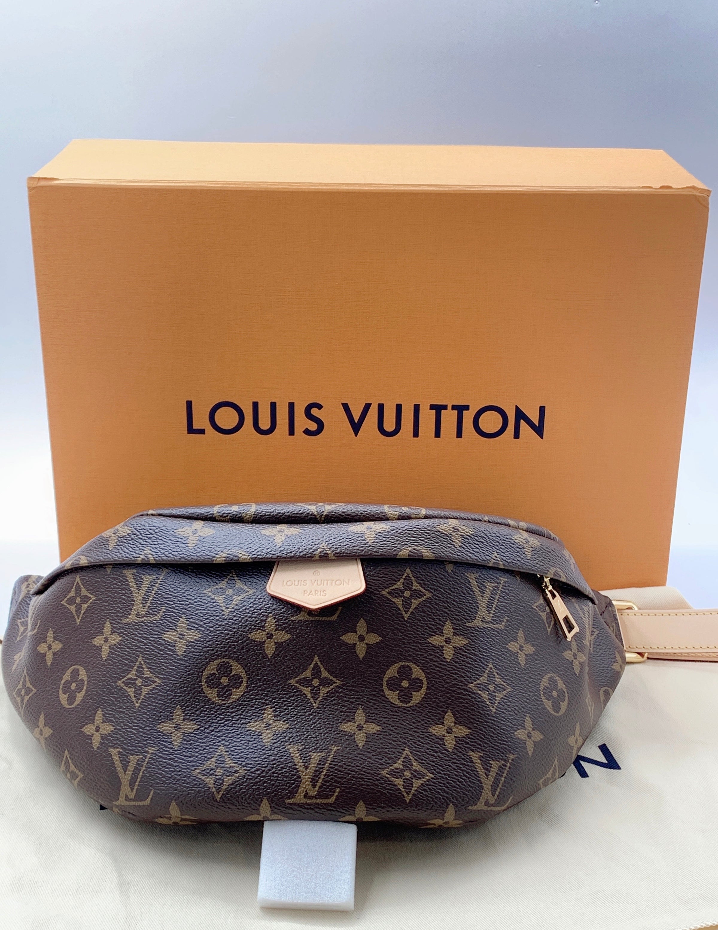 Louis Vuitton LV bumbag limited edition Grey Leather ref.193956